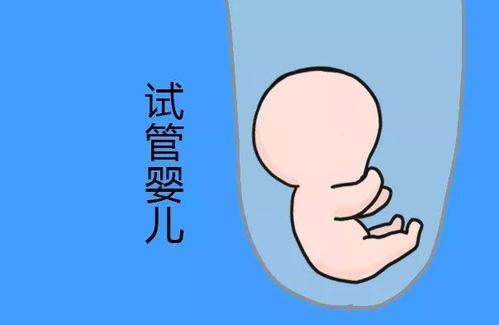 重庆荣昌区三代试管婴儿可以实现生育男孩吗？费用多少？
