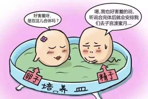 天津北辰区助孕公司如何选择？选择坤和可以吗？
