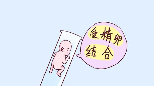 上海崇明区借卵生宝宝包成功套餐价格详情？