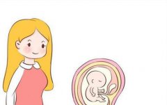 阜新市三代试管供卵婴儿周期费用介绍