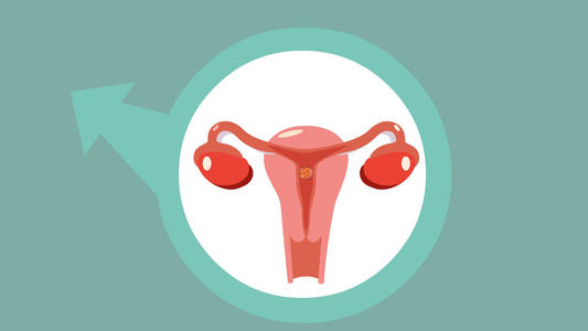 博尔塔拉蒙古自治州三代试管婴儿可以筛选性别吗？需要花费多少钱？